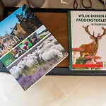 Putveen, Gelegen Op De Veluwe Met Grote Tuin En Veel Privacy *
