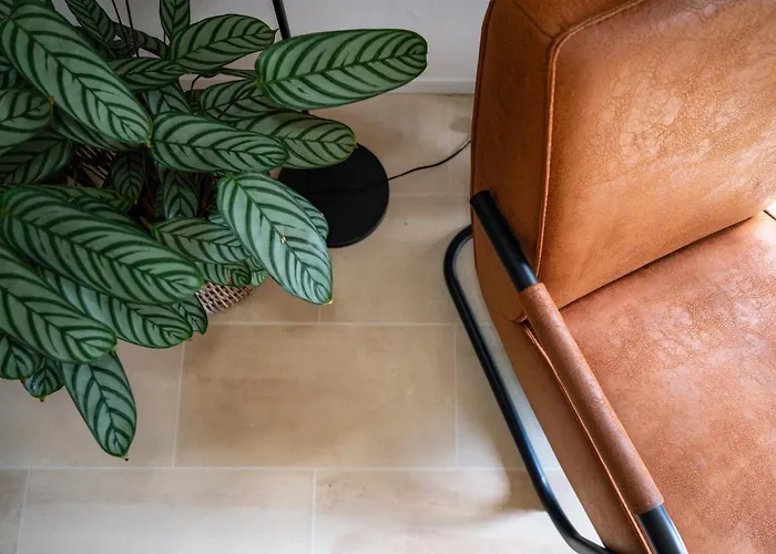 Putveen, Gelegen Op De Veluwe Met Grote Tuin En Veel Privacy Chalet *